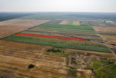 Teren 4.271 mp de vanzare  în Vladimirescu - 2