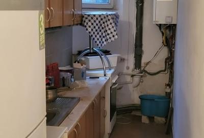 Stirbei Voda, Conservator - 3