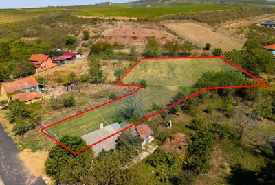 Teren Construcții intravilan de 4184 mp, în Miniș - 5