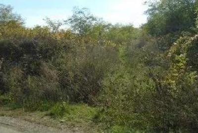 Teren extravilan Tamboesti ; ID: R2832805 - 3