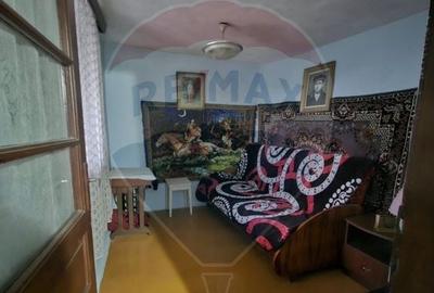 Casa / Vila cu 4 camere de vanzare in zona Alexandriei - 3