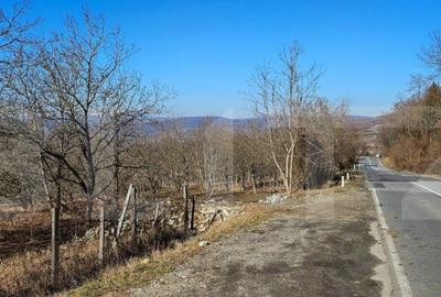 Teren de 30 de ari, Dumitra, 5km de Bistrita - 2