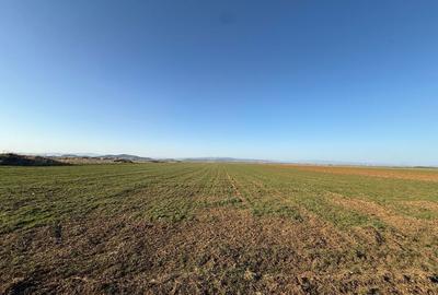 Spațiu comercial, în Tărlungeni - 2