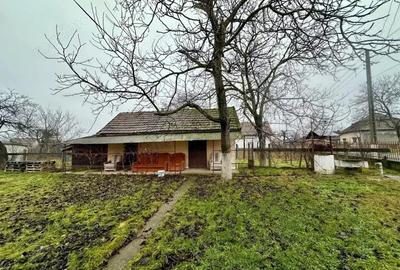 Casă cu 3 camere cu Teren 4191 Mp în Cig - 4