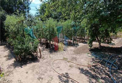 Casa de vacanta, Cazasu cu suprafata generoasa teren 824mp - 1