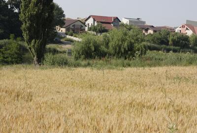 Teren în Balotești - 2