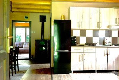 Casa din grinzi pe marginea paraului Borzont - 1