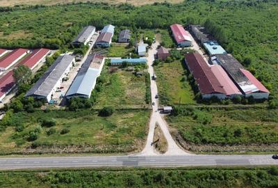 Spatiu industrial de 120mp de inchiriat in zona Exterior Sud - 4