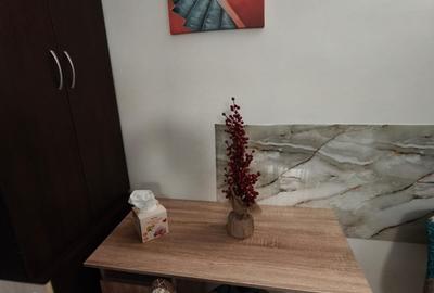 Sat vacanta - Garsoniera moderna in bloc nou + loc de parcare - 7