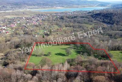 Teren 13.643 mp intravilan de vanzare in Curtea de Arge?. - 8