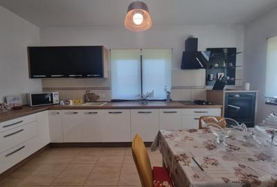 Vila 5 camere/ Teren 4531 mp- destinatii multiple! Ai idei bune?! - 7
