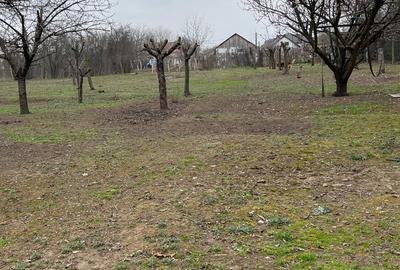Teren de 1800 mp, în Coșoveni - 5