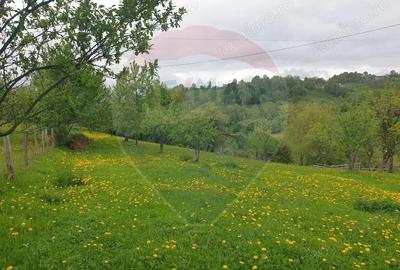 Teren de 1000 mp, în Bran