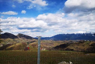 Spațiu comercial, în Peștera - 8