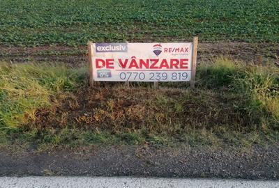 Teren de 15000 mp, în Topolovățu Mare - 4