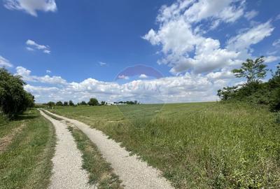 Teren investitie 4.350 mp | Balta Pasarea, langa Bucure?ti Teren investitie 4.350 mp | Balta Pasarea, langa Bucure?ti - 5