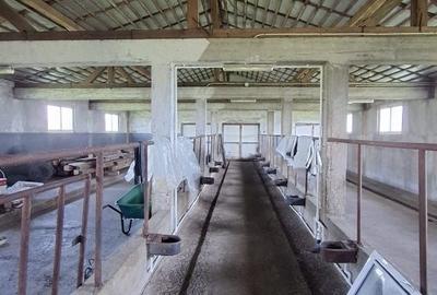 Casă cu 2 camere în Vadu Moldovei - 13