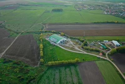 Gaminvest Hala industriala de vanzare in Biharia, Bihor, Romania,V3046 - 15