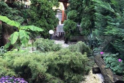 Complex Hotelier 4 stele, 1480 mp utili, teren 1380 mp, Timi - 14