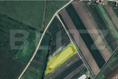Teren 8.700 mp cu balta piscicola, 5.500 mp luciu de apa - zona Coslariu - 3