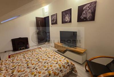 Casa cu 2 camere si living - zona Centrala, Piata Independentei - 700€ - 2