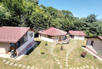 4 Casute de vacanta cu teren de 2000 mp liberi Cisnadioara - 4