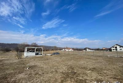 Teren Construcții intravilan de 867 mp, în Turcinești - 2