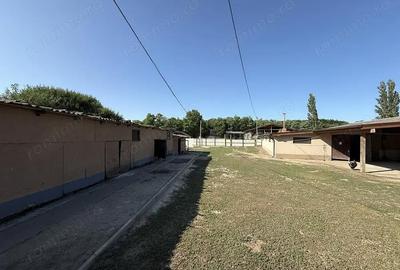 Spațiu comercial, de 500 mp, în Șimian - 11