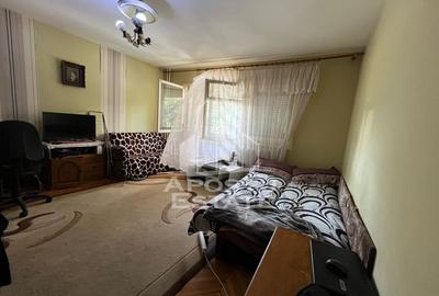 Apartament doua camere, decomandat, Sagului - 5