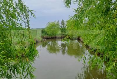 Casă cu 5 camere cu Teren 5585 Mp în Central - 12