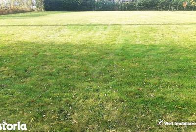 Teren de 700 mp, în Ciurila - 2