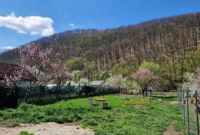 Casă cu 2 camere în Leșnic - 8