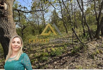 Teren de 667 mp, în Tăuții-Măgherăuș - 2