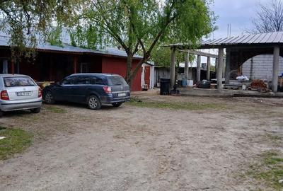 Casă cu Teren 1600 Mp în Serdanu - 6