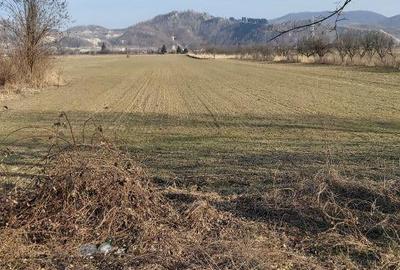 Teren de 7000 mp, în Gura Vitioarei
