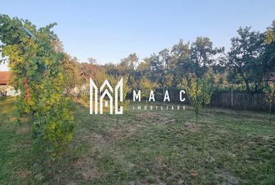 CASA LADESTI-VALCEA| RENOVATA SI MOBILATA| 5000 MP TEREN - 15