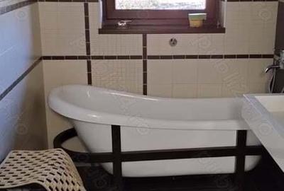 Vand vila Snagov Tancabesti Ilfov - 12