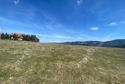 Teren de 3000 mp, în Paltin