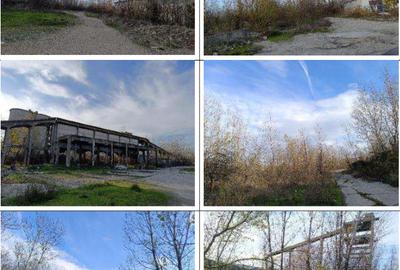 OPORTUNITATE - 9 ha - Teren potential comercial Craiova - Cernele - 3