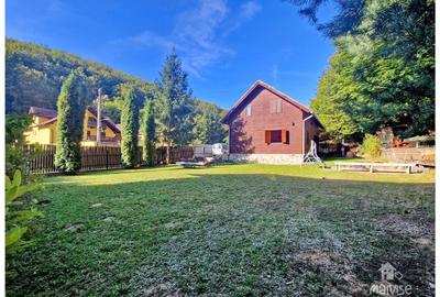 Casa de vacanta!!! Valea Bozom- Apata - 30