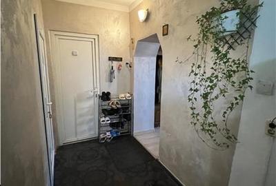 Casă individuală cu 2 camere cu Canalizare în Slimnic - 25