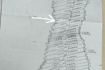 Teren de 10000 mp, în Central - 4