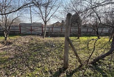 Casă în Dascălu - 3