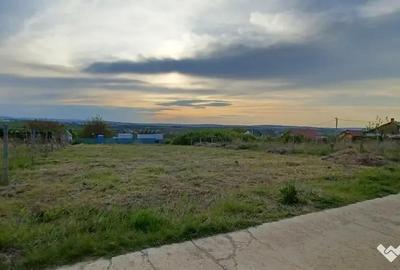 Teren de 1000 mp, în Bârnova - 2