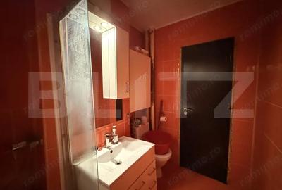Apartament cu 2 camere semidecomandat în Brazda lui Novac - 10