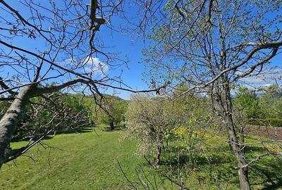 Pensiune in jud. Buzau, loc Ivanetu| Constructie lemn|Pozitionare impresionanta - 47