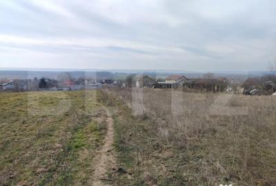Teren de 1469 mp, în Malu Mare - 6