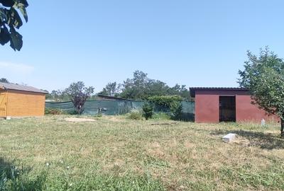 Teren Construcții intravilan de 1200 mp, în Căscioarele (Ulmi) - 4