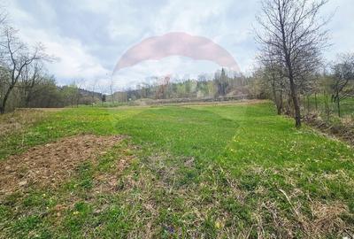 Teren Construcții intravilan de 2910 mp, în Chirițeni - 14