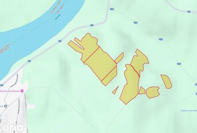 Teren de 380000 mp, în Rasova - 1